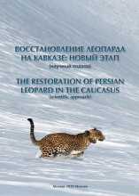 Восстановление леопарда на Кавказе: новый этап (научный подход)