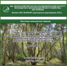 Береза карельская в Центральной России: биологические особенности и перспективы воспроизводства