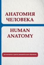 Анатомия человека = Human Anatomy