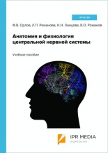 Анатомия и физиология центральной нервной системы